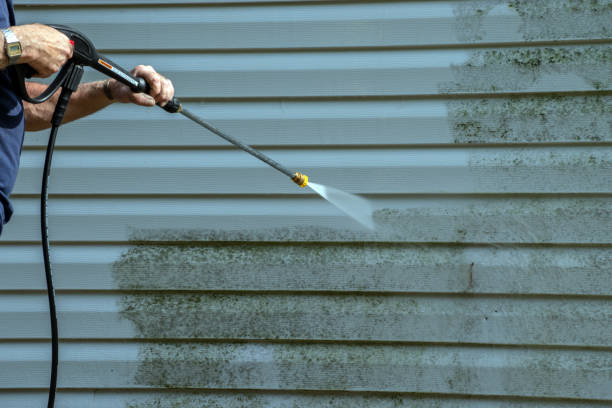 Best Roof Washing  in Pine Ridge, PA